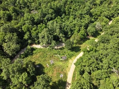40 Secluded Acres in Ozark County Missouri Near Bull Shoals Lake - image 35