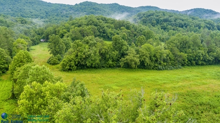Stunning 99.19± Acre Property in Oneida, Tennessee - image 4