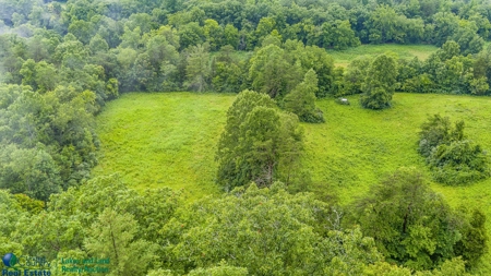 Stunning 99.19± Acre Property in Oneida, Tennessee - image 10