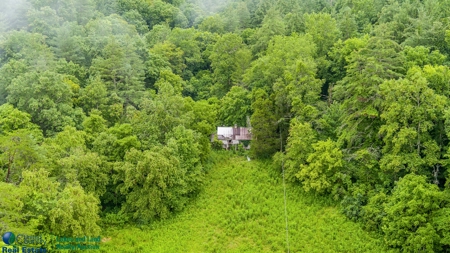 Stunning 99.19± Acre Property in Oneida, Tennessee - image 7