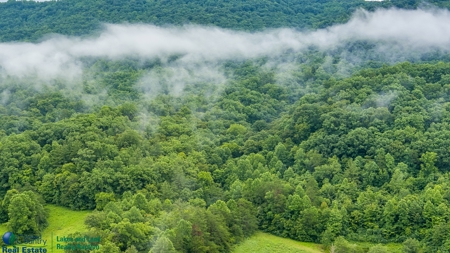 Stunning 99.19± Acre Property in Oneida, Tennessee - image 27
