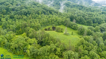 Stunning 99.19± Acre Property in Oneida, Tennessee - image 25