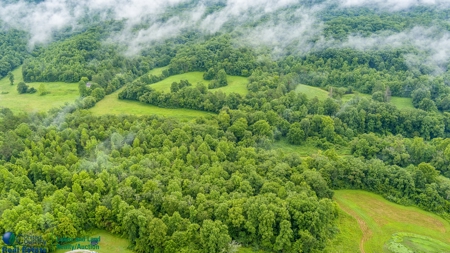 Stunning 99.19± Acre Property in Oneida, Tennessee - image 20