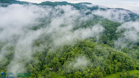 Stunning 99.19± Acre Property in Oneida, Tennessee - image 24