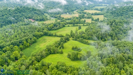Stunning 99.19± Acre Property in Oneida, Tennessee - image 11