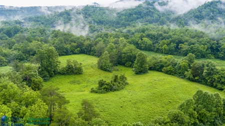 Stunning 99.19± Acre Property in Oneida, Tennessee - image 8