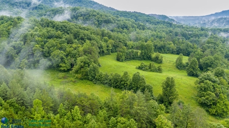 Stunning 99.19± Acre Property in Oneida, Tennessee - image 6