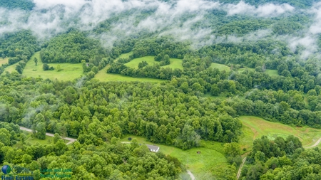 Stunning 99.19± Acre Property in Oneida, Tennessee - image 21