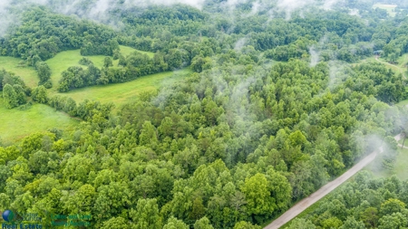 Stunning 99.19± Acre Property in Oneida, Tennessee - image 22