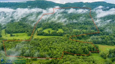 Stunning 99.19± Acre Property in Oneida, Tennessee - image 18