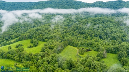 Stunning 99.19± Acre Property in Oneida, Tennessee - image 26