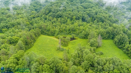 Stunning 99.19± Acre Property in Oneida, Tennessee - image 29