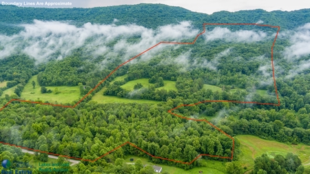 Stunning 99.19± Acre Property in Oneida, Tennessee - image 17