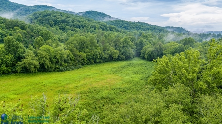 Stunning 99.19± Acre Property in Oneida, Tennessee - image 2