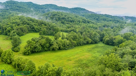 Stunning 99.19± Acre Property in Oneida, Tennessee - image 3