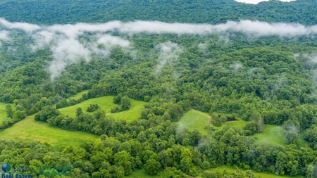 Stunning 99.19± Acre Property in Oneida, Tennessee - image 28