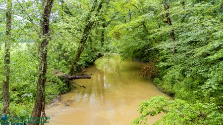 Stunning 99.19± Acre Property in Oneida, Tennessee - image 1