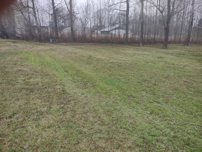Land for Sale in Decatur County, Tennessee - image 4