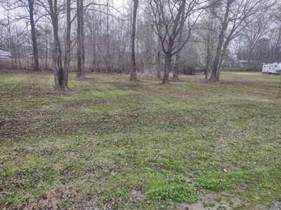 Land for Sale in Decatur County, Tennessee - image 6