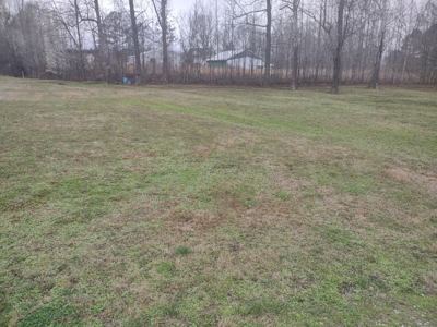 Land for Sale in Decatur County, Tennessee - image 5