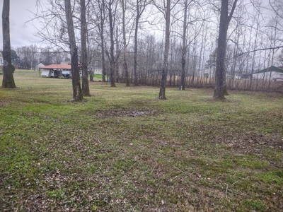 Land for Sale in Decatur County, Tennessee - image 2