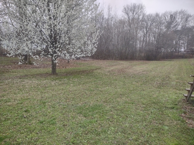 Land for Sale in Decatur County, Tennessee - image 1