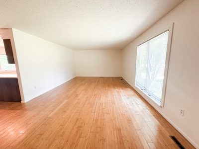 Updated Home for Sale in Salem, Missouri - image 14