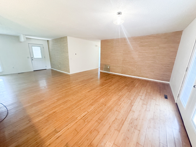 Updated Home for Sale in Salem, Missouri - image 11