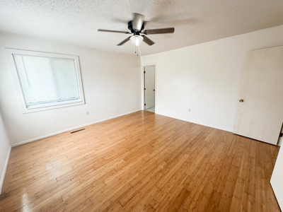 Updated Home for Sale in Salem, Missouri - image 16