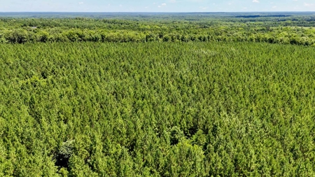 33 Acres of Opportunity in Scenic Halifax County, VA - image 2