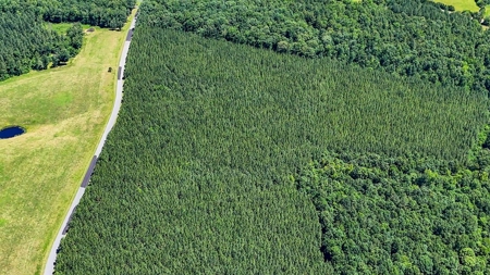 33 Acres of Opportunity in Scenic Halifax County, VA - image 6