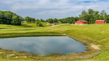 Online Only Absolute Auction 4 bed 3 bath Luxury Home - image 47