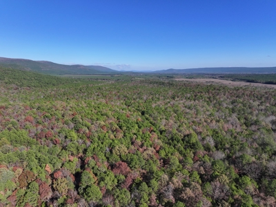 Poteau Mountain Recreational Property - Adjoining National Forest - image 4