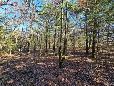 Poteau Mountain Recreational Property - Adjoining National Forest - image 13
