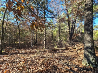 Poteau Mountain Recreational Property - Adjoining National Forest - image 16