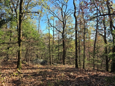 Poteau Mountain Recreational Property - Adjoining National Forest - image 11