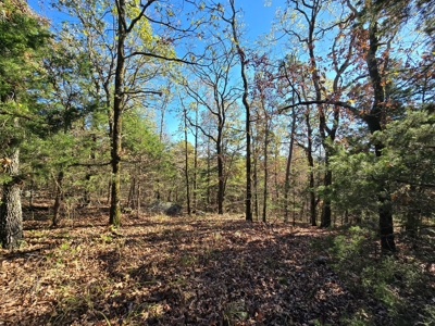 Poteau Mountain Recreational Property - Adjoining National Forest - image 5