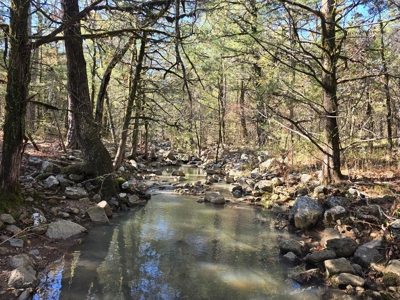 Poteau Mountain Recreational Property - Adjoining National Forest - image 3
