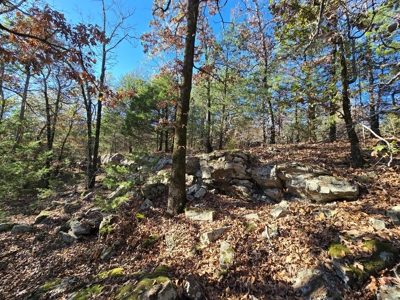 Poteau Mountain Recreational Property - Adjoining National Forest - image 14