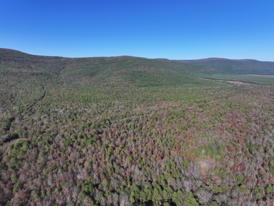 Poteau Mountain Recreational Property - Adjoining National Forest - image 15