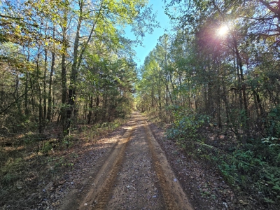 Poteau Mountain Recreational Property - Adjoining National Forest - image 10