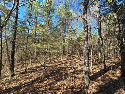 Poteau Mountain Recreational Property - Adjoining National Forest - image 8