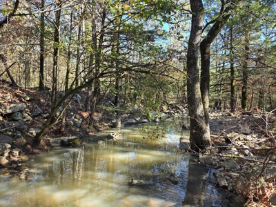 Poteau Mountain Recreational Property - Adjoining National Forest - image 1