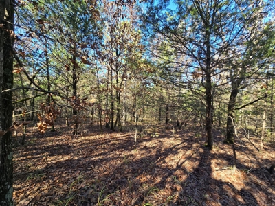 Poteau Mountain Recreational Property - Adjoining National Forest - image 12