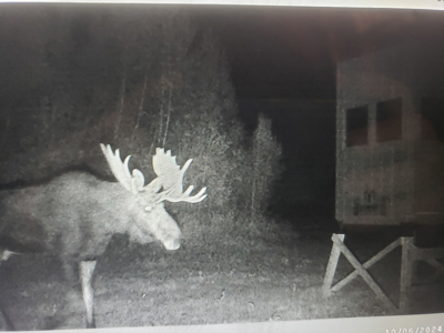 Maine Hunting and Recreational Timberland for Sale - image 37