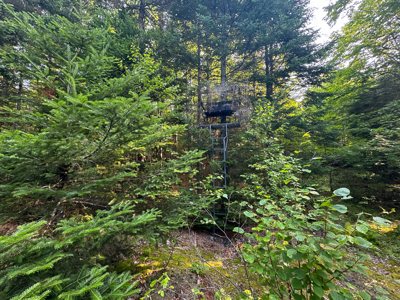 Maine Hunting and Recreational Timberland for Sale - image 30