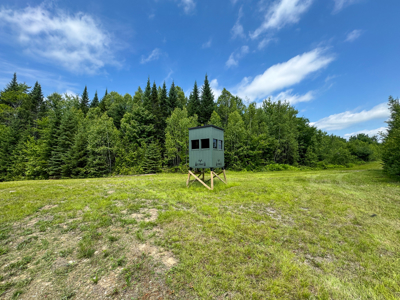 Maine Hunting and Recreational Timberland for Sale - image 9