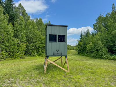 Maine Hunting and Recreational Timberland for Sale - image 10