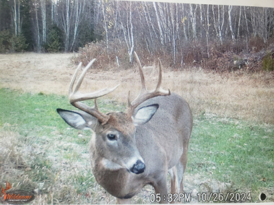 Maine Hunting and Recreational Timberland for Sale - image 38