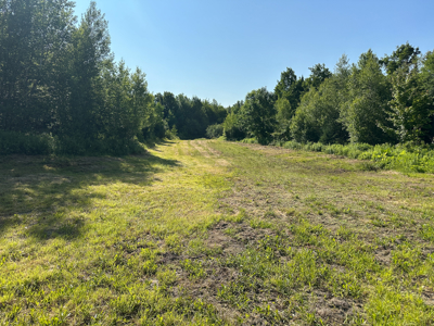 Maine Hunting and Recreational Timberland for Sale - image 33